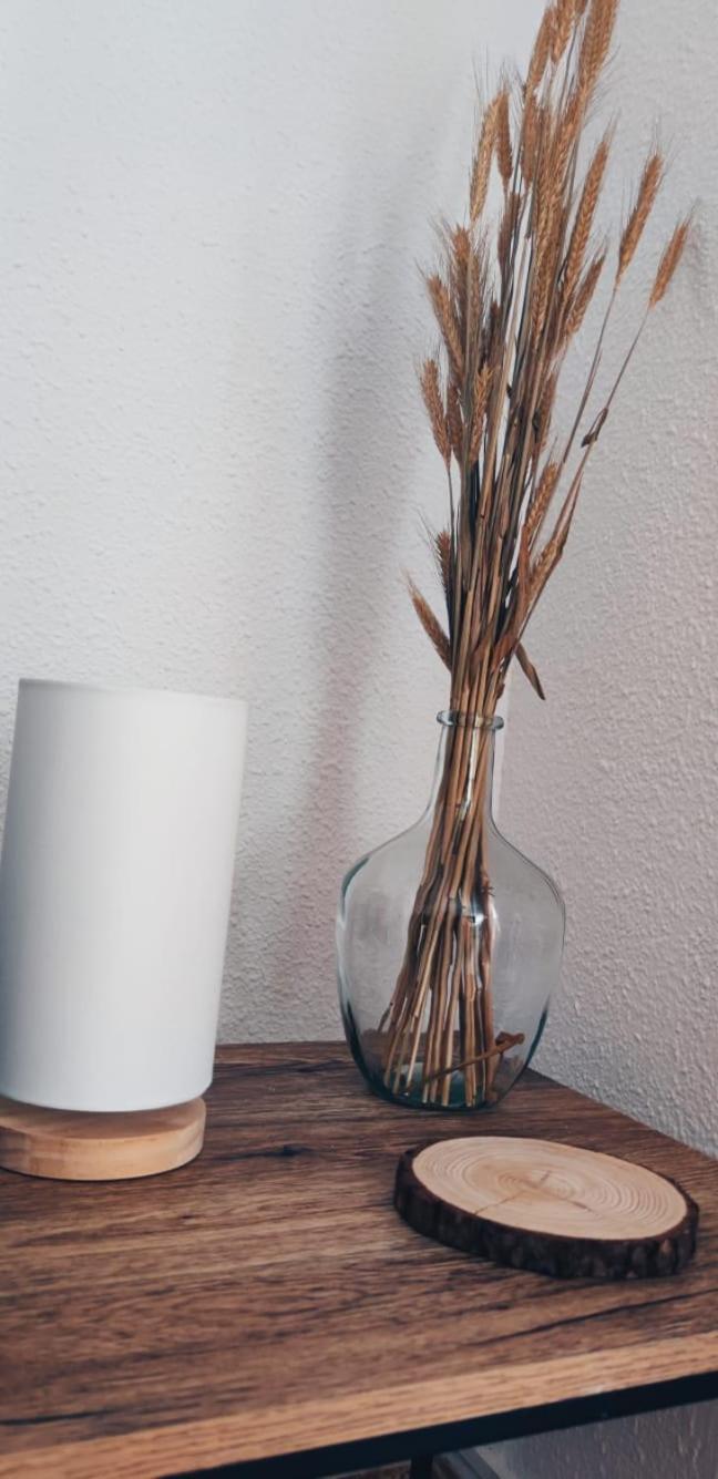 Apartamento En El Centro De Elche Con Terraza La Alborada Εξωτερικό φωτογραφία